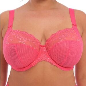 Elomi | Charley Stretch Plunge Underwire‎ Bra Honeysuckle Size 38I